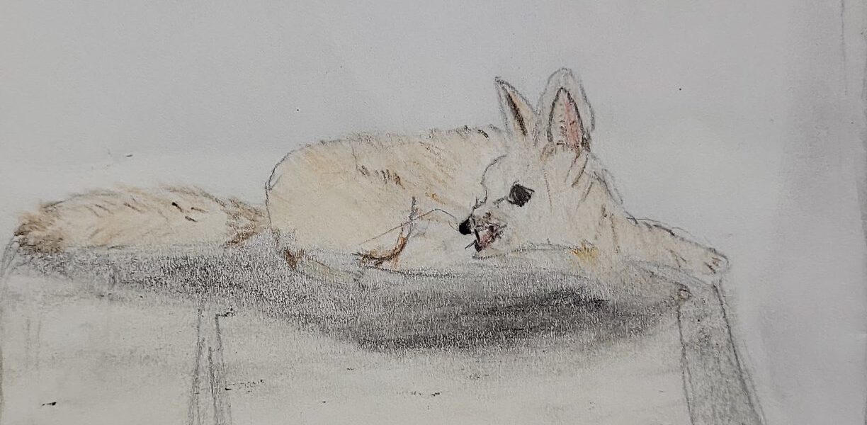 Der Weg durch die Pyramide