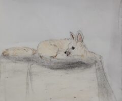 Der Weg durch die Pyramide