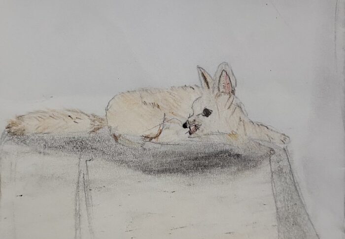 Der Weg durch die Pyramide