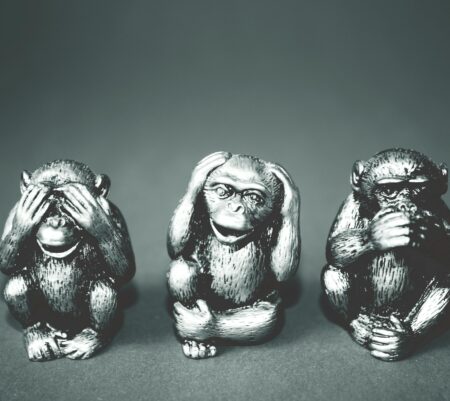 Zoos = Tierquälerei?!