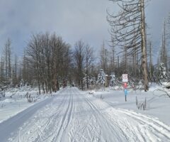 Hobbyecke: Skilanglauf